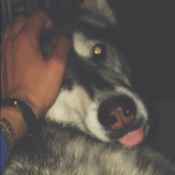 Meet your Posher, Kristian - Picture 1 of 1